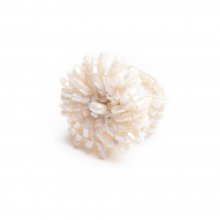 BELLY RING IVORY