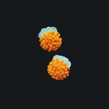 ORANGE - designsix ONLINE SHOP