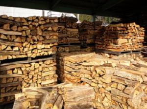ナラ　未乾燥薪　５０cm 　1.65立方メートル（約1400kg） - 「薪」販売！薪ストーブ用の木材を激安通販 | 京都　美山ウッドエンジニア