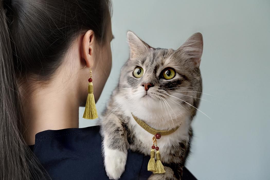 シュレ猫様交渉中 専用ページ 15体ご指定あり シュレ猫様交渉