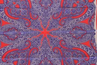 ����ͥ������