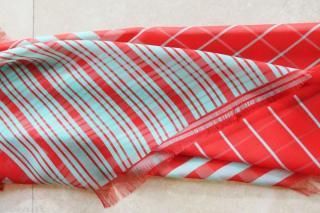 ����ͥ������