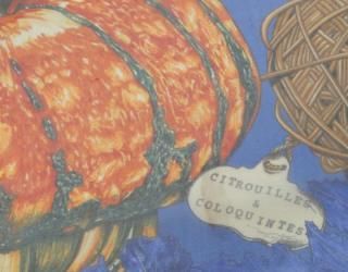 ����ͥ������