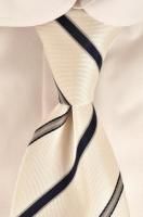 �륤���ܥ�å� �ܥ�� Luigi Borrell