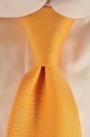 �륤���ܥ�å� �ܥ�� Luigi Borrell