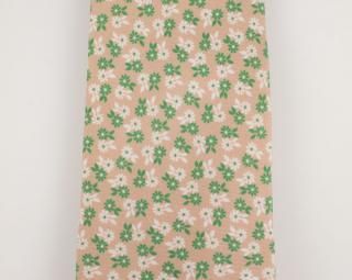 ����ͥ������