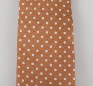 ����ͥ������