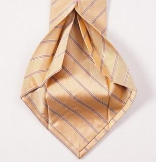 ����ͥ������