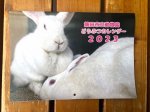 飯田市立動物園　どうぶつカレンダー2023
