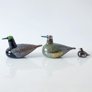 NUUTAJARVI/̡Birds by Toikka3Ǻܤޤ