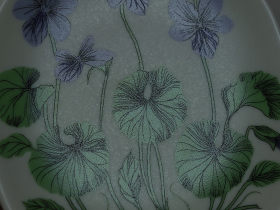 ARABIA/アラビア Botanica/ボタニカ viola palustris(ビオラ