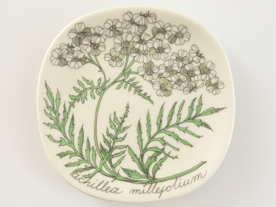 arabia Botanica ❀ achillea millefolium - 食器