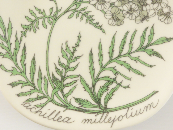 arabia Botanica ❀ achillea millefolium - 食器