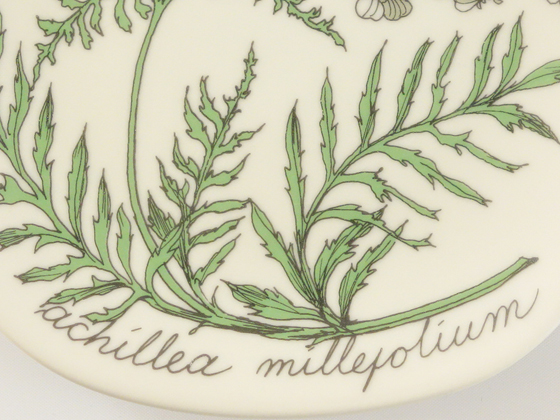 ARABIA エステリ ボタニカ \"Achillea millefolium\" ARABIA Botanica achillea Esteri Tomula/アラビア ボタニカ