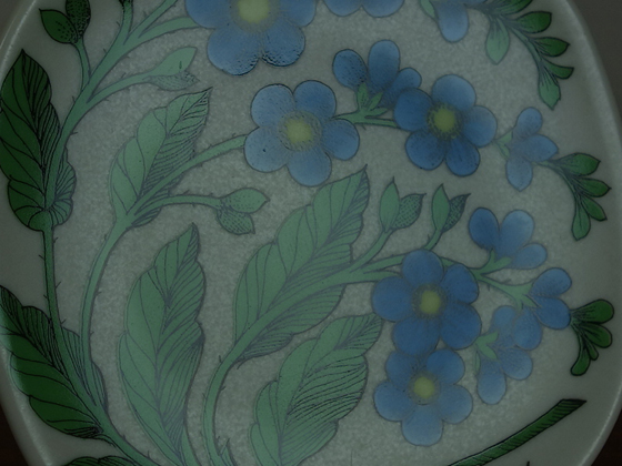 ARABIA/アラビア Botanica/ボタニカ myosotis scorpioides