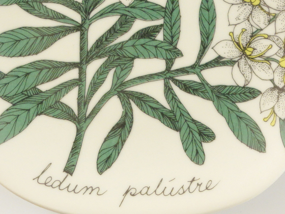 ARABIA エステリ・トムラ ボタニカ 