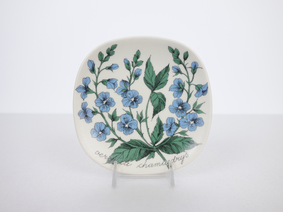 ARABIA エステリ ボタニカ 