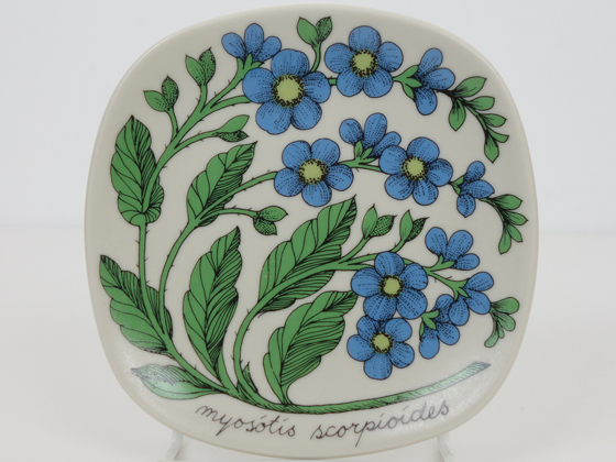 アラビア ボタニカ プレート myosotis scorpioides 勿忘草