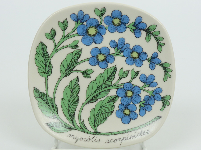 アラビア ボタニカ プレート myosotis scorpioides 勿忘草
