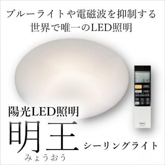 ۸LEDץ󥰥饤