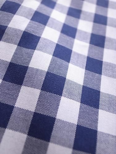 INDIVIDUALIZED SHIRTS インディビジュアライズドシャツ BIG