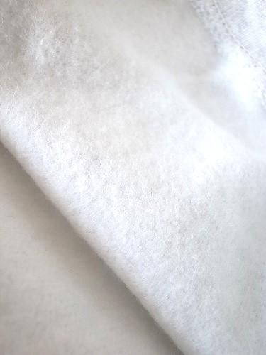 Tapir Special】 US企画 Champion リバースウィーブスウェット