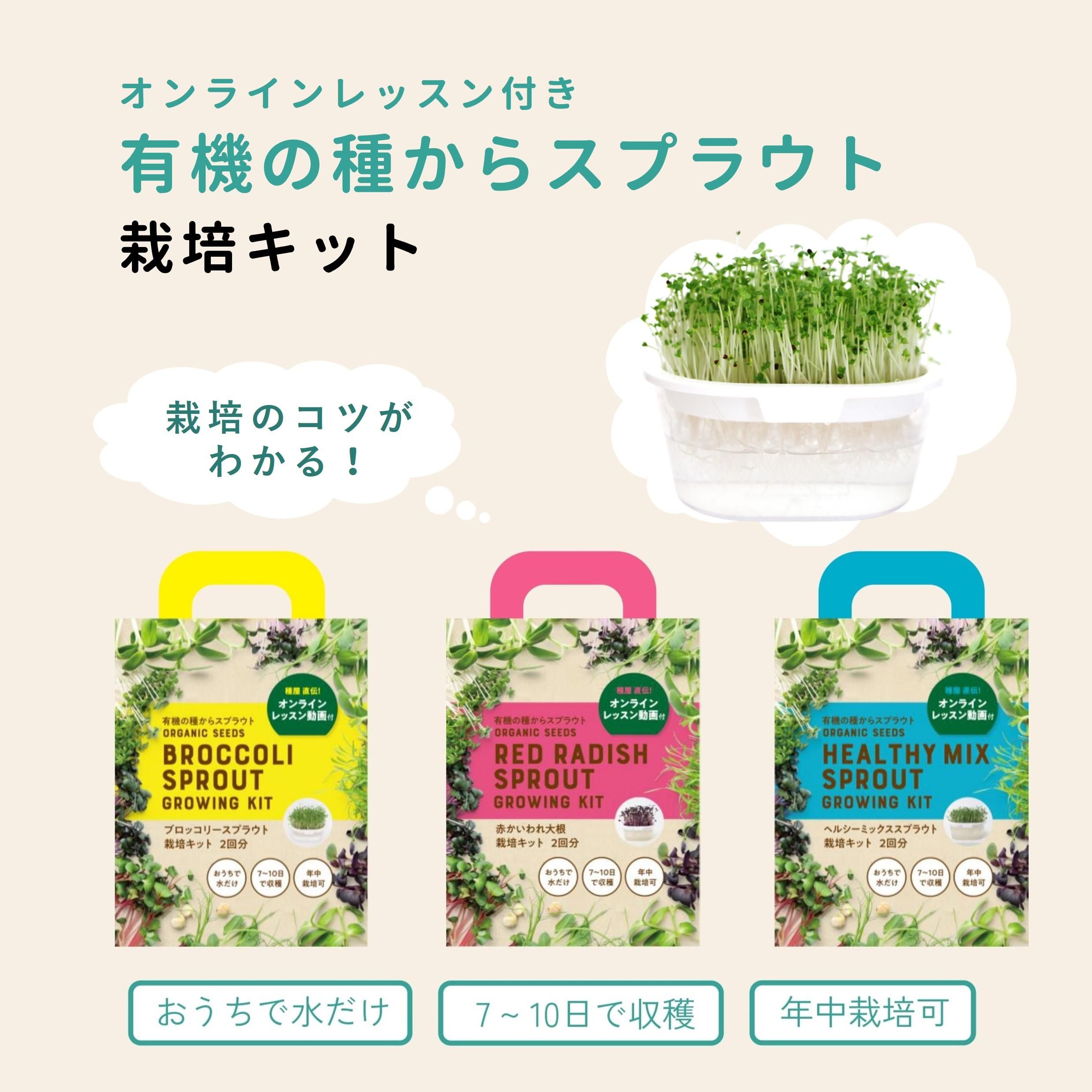 スプラウト栽培キット