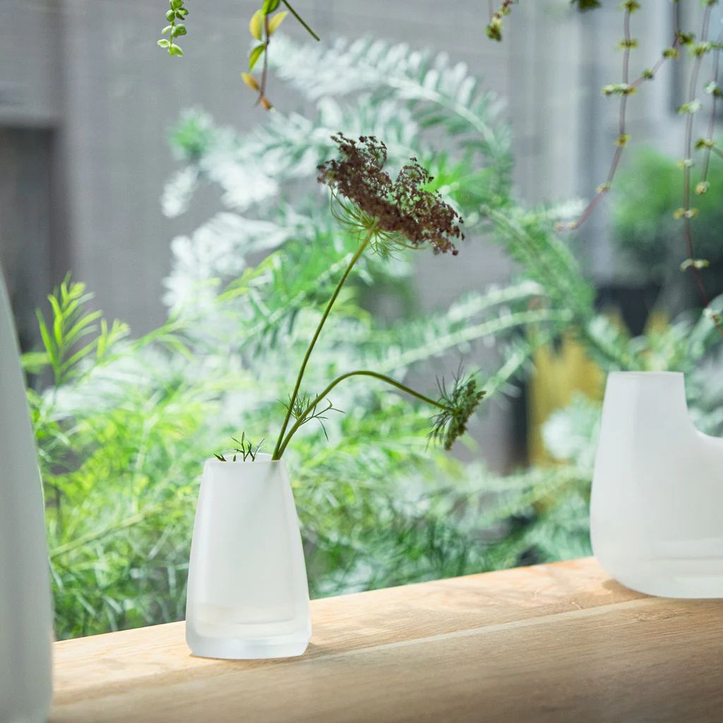 TREベースホワイト 形状