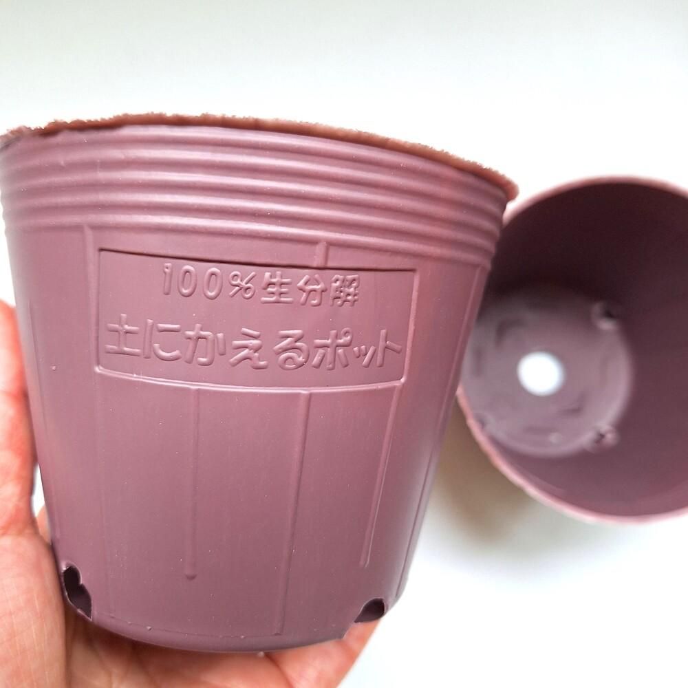 生分解ポット