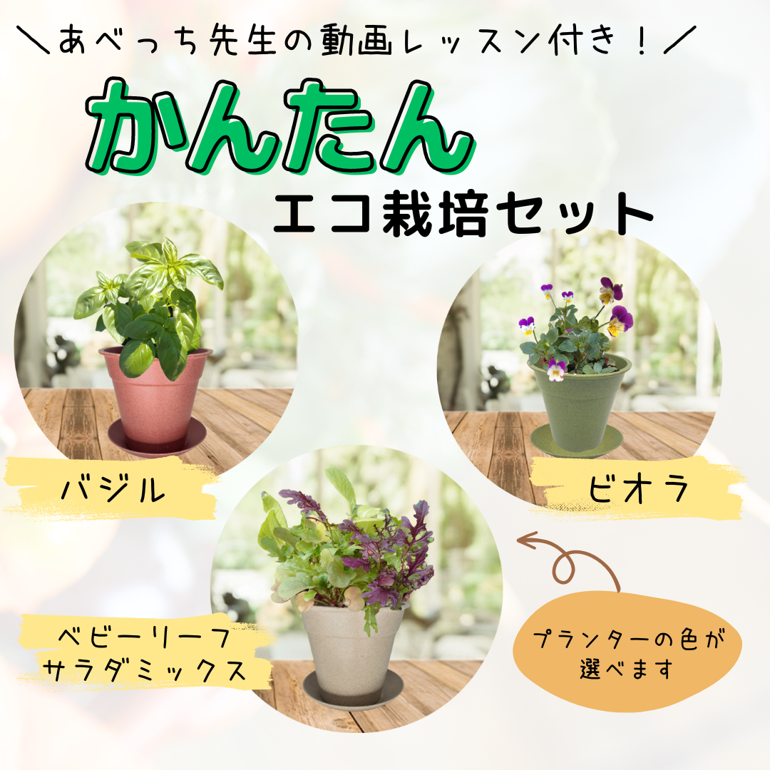 エコ栽培セット
