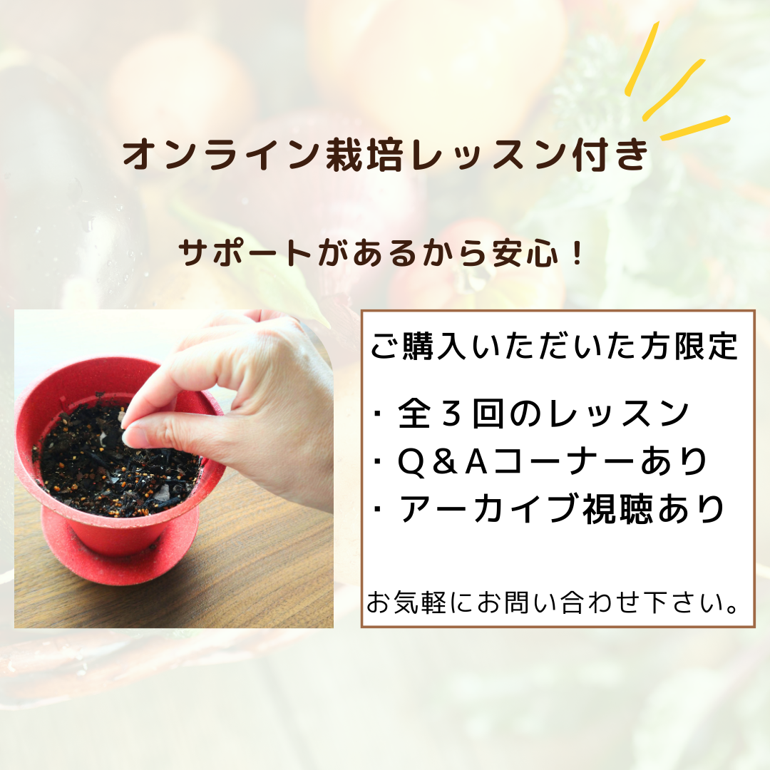 オンラインレッスン