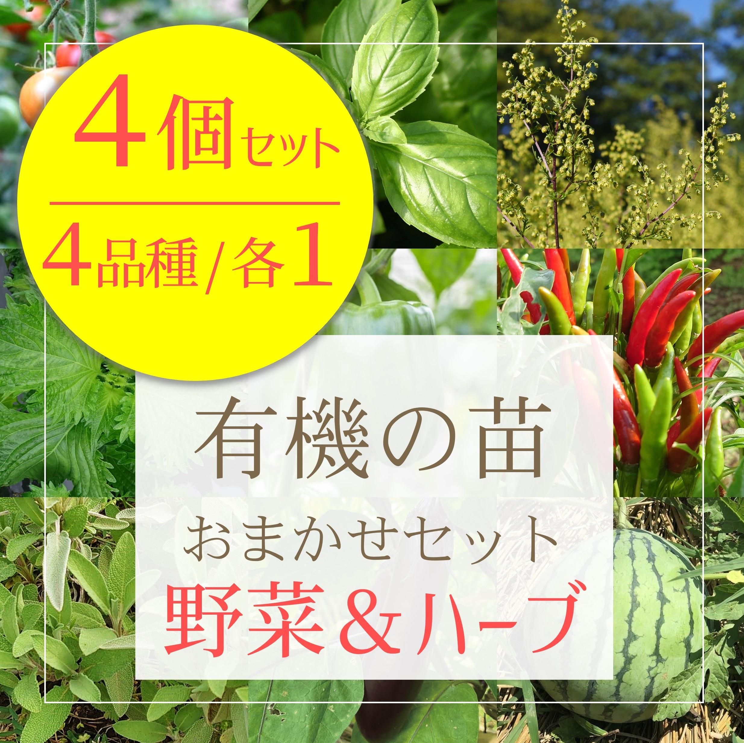 ミックス4