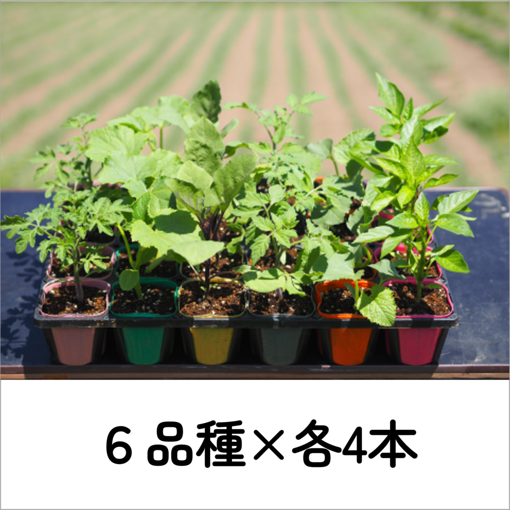 ͭ�����ڥݥå�