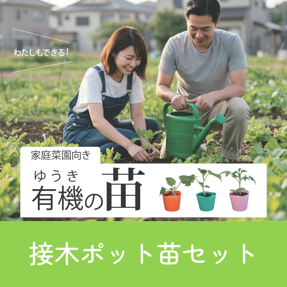 ���ڥݥå���