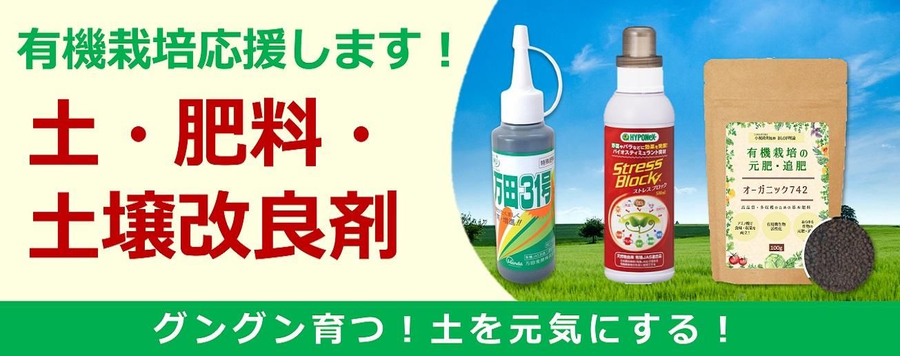 ڡھɺ