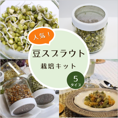 育てる発芽豆キット