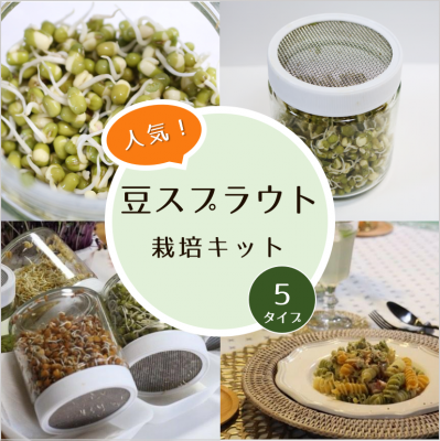 発芽豆 豆スプラウト栽培キットの通販 グリーンマーケット