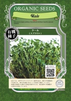 ケールスプラウトの有機種子の通販 グリーンマーケット グリーンフィールドプロジェクト直営オンラインショップ ケールスプラウトの有機種子の通販 グリーンマーケット グリーンフィールドプロジェクト直営オンラインショップ