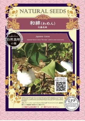 化学農薬なしで栽培 採取された自然栽培の和綿の種 化学農薬なしで栽培 採取された自然栽培の和綿の種