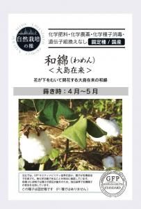 和綿 大島在来【自然栽培の種・固定種・国産】の商品画像