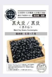 黒千石大豆 / 黒大豆 / 枝豆の商品画像