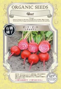 ӡ ӡ ͭҡ۶̳Lξʲ