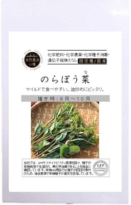 野菜の種専門店グリーンマーケット 自然栽培 のらぼう菜 ナバナ の種販売