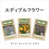 【エディブルフラワー(食用花)セット】有機種子/ボリジ・カレンジュラ・ビオラの商品画像