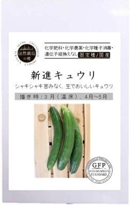 有機キュウリ鮮緑キュウリ有機栽培有機種子自然栽培キュウリ抜き苗2つ