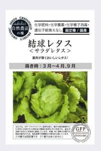 쥿 쥿ڼݤμ񻺡ۤξʲ