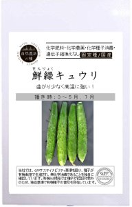 鮮緑キュウリ/きゅうり【有機栽培の種/固定種】の商品画像