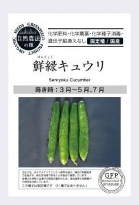 夦 Х奦 ڼˡμ񻺡ۤξʲ