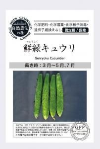 夦 Х奦 ڼˡμ񻺡ۤξʲ