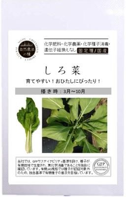 しろ菜の固定種の通販 グリーンマーケット